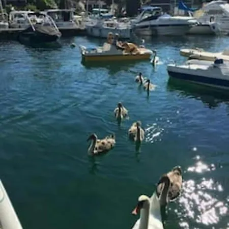 Le Bonheur Les Pieds Dans L'eau 4* Thonon-les-Bains